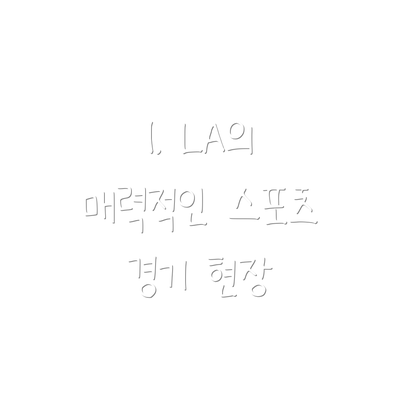 1. LA의 매력적인 스포츠 경기 현장