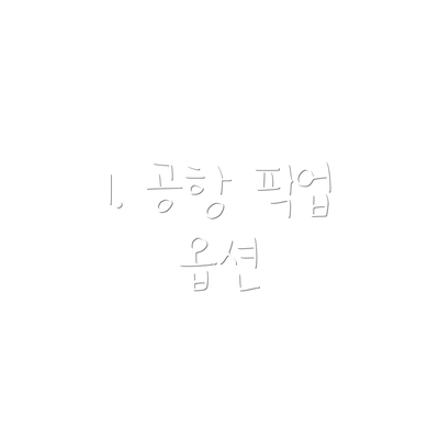 1. 공항 픽업 옵션