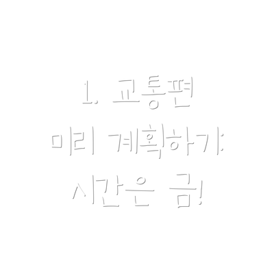 1. 교통편 미리 계획하기: 시간은 금!