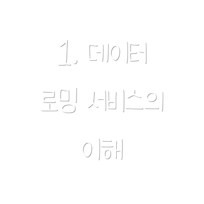 1. 데이터 로밍 서비스의 이해