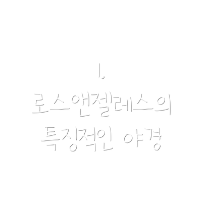 1. 로스앤젤레스의 특징적인 야경
