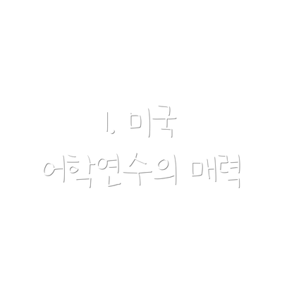 1. 미국 어학연수의 매력