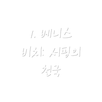 1. 베니스 비치: 서핑의 천국