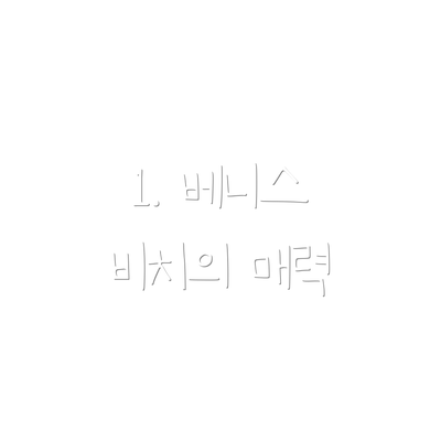 1. 베니스 비치의 매력