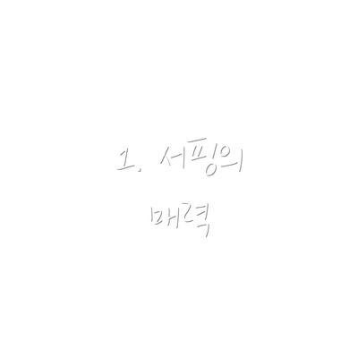 1. 서핑의 매력