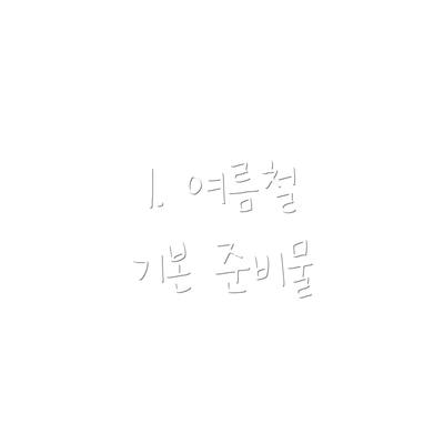 1. 여름철 기본 준비물