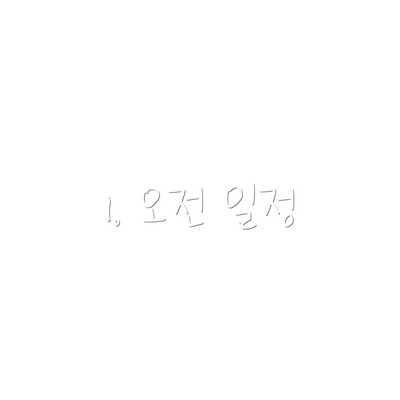 1. 오전 일정