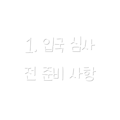 1. 입국 심사 전 준비 사항