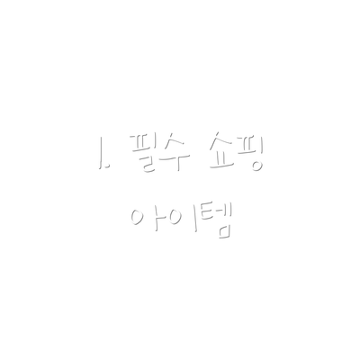 1. 필수 쇼핑 아이템