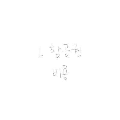 1. 항공권 비용