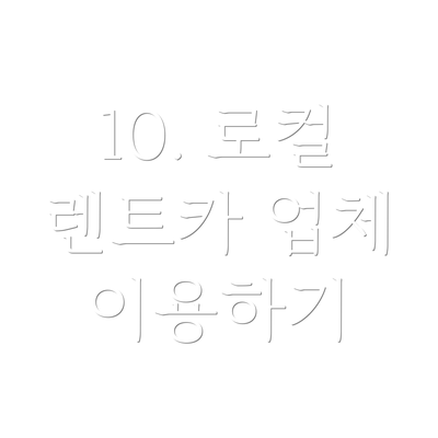 10. 로컬 렌트카 업체 이용하기