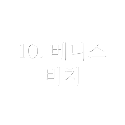 10. 베니스 비치