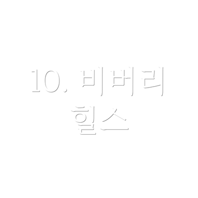 10. 비버리 힐스