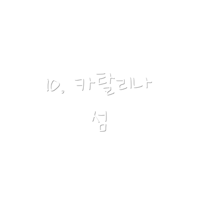10. 카탈리나 섬