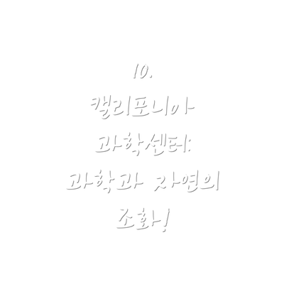 10.  캘리포니아 과학센터:  과학과 자연의 조화!