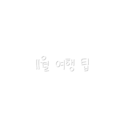 11월 여행 팁