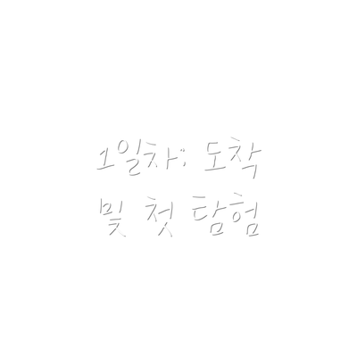 1일차: 도착 및 첫 탐험