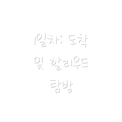 1일차: 도착 및 할리우드 탐방