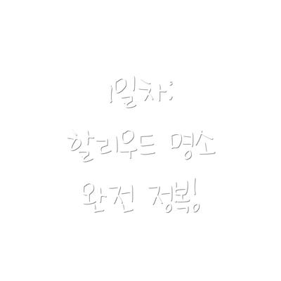 1일차: 할리우드 명소 완전 정복!