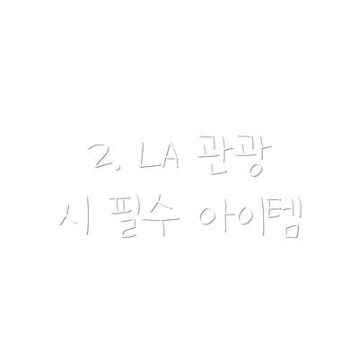 2. LA 관광 시 필수 아이템