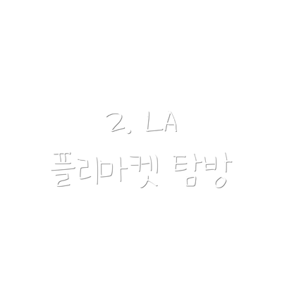 2. LA 플리마켓 탐방