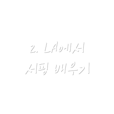 2. LA에서 서핑 배우기