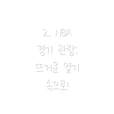 2. NBA 경기 관람: 뜨거운 열기 속으로!