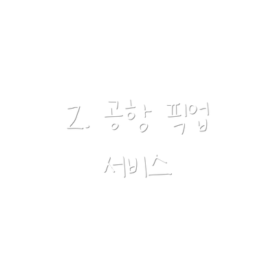 2. 공항 픽업 서비스