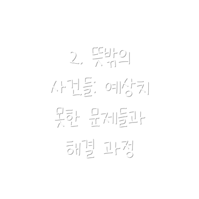 2. 뜻밖의 사건들: 예상치 못한 문제들과 해결 과정