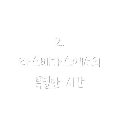 2. 라스베가스에서의 특별한 시간