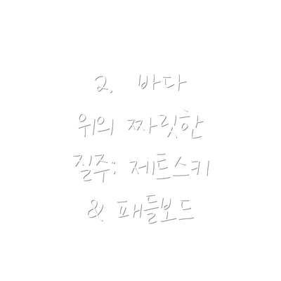 2.  바다 위의 짜릿한 질주: 제트스키 & 패들보드