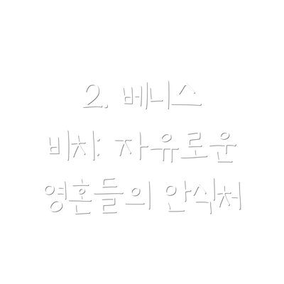 2. 베니스 비치: 자유로운 영혼들의 안식처
