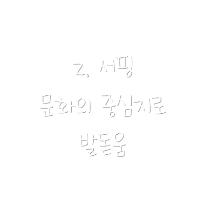 2. 서핑 문화의 중심지로 발돋움