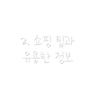 2. 쇼핑 팁과 유용한 정보
