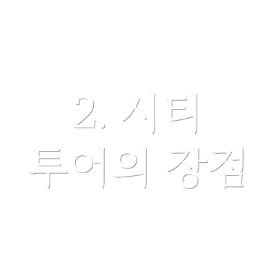 2. 시티 투어의 장점