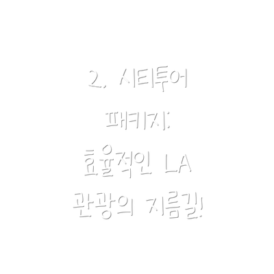 2. 시티투어 패키지: 효율적인 LA 관광의 지름길!