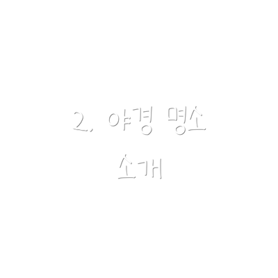 2. 야경 명소 소개