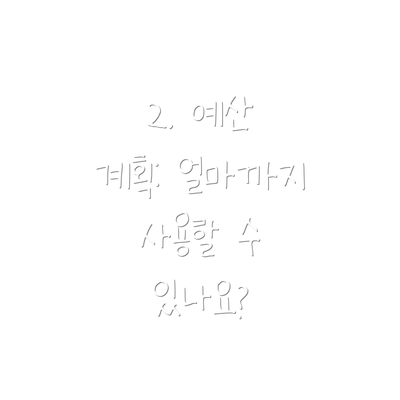 2. 예산 계획: 얼마까지 사용할 수 있나요?