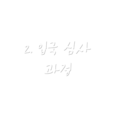 2. 입국 심사 과정