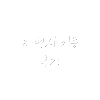 2. 택시 이동 후기
