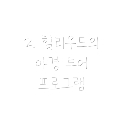 2. 할리우드의 야경 투어 프로그램