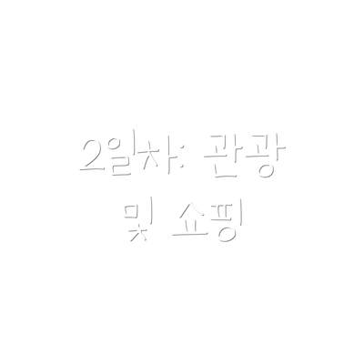 2일차: 관광 및 쇼핑