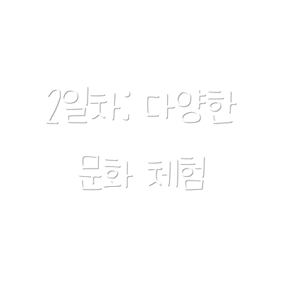 2일차: 다양한 문화 체험