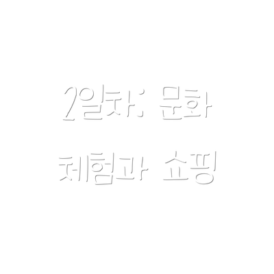 2일차: 문화 체험과 쇼핑