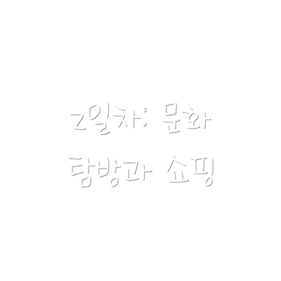 2일차: 문화 탐방과 쇼핑