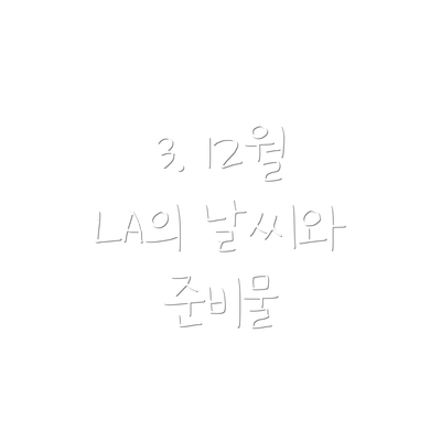 3. 12월 LA의 날씨와 준비물