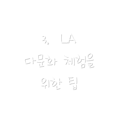 3.  LA 다문화 체험을 위한 팁