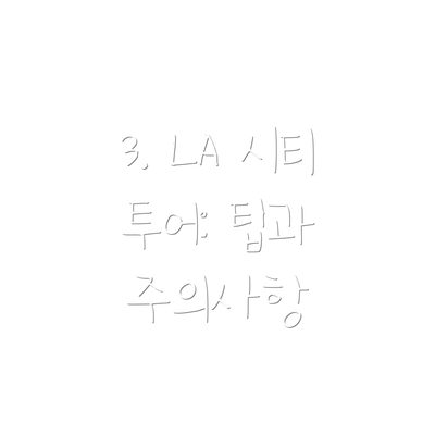 3. LA 시티 투어: 팁과 주의사항