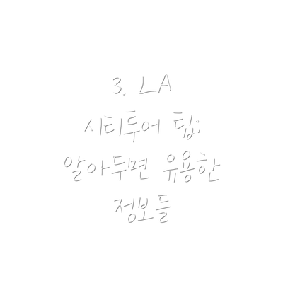 3. LA 시티투어 팁: 알아두면 유용한 정보들