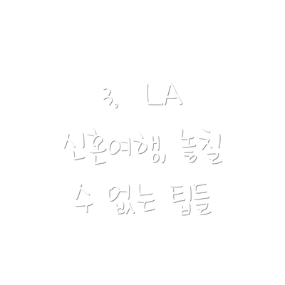 3.  LA 신혼여행, 놓칠 수 없는 팁들